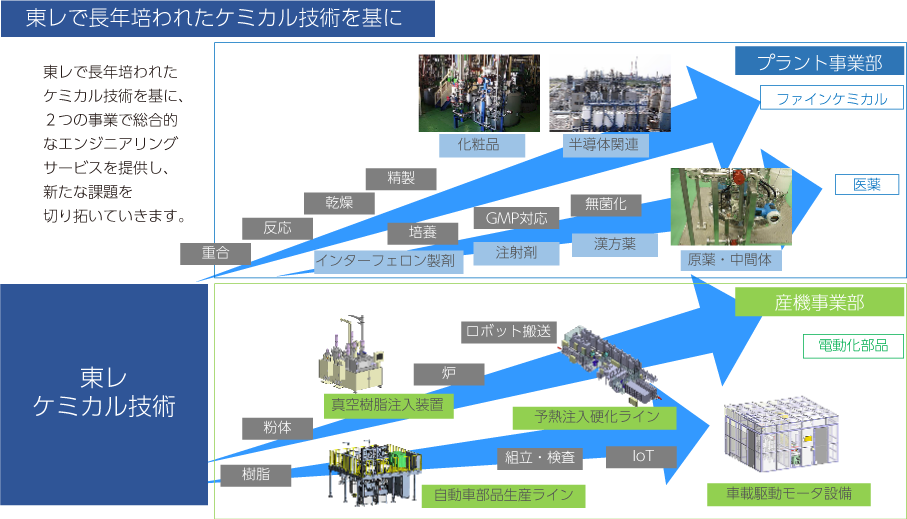 生い立ちイラスト図